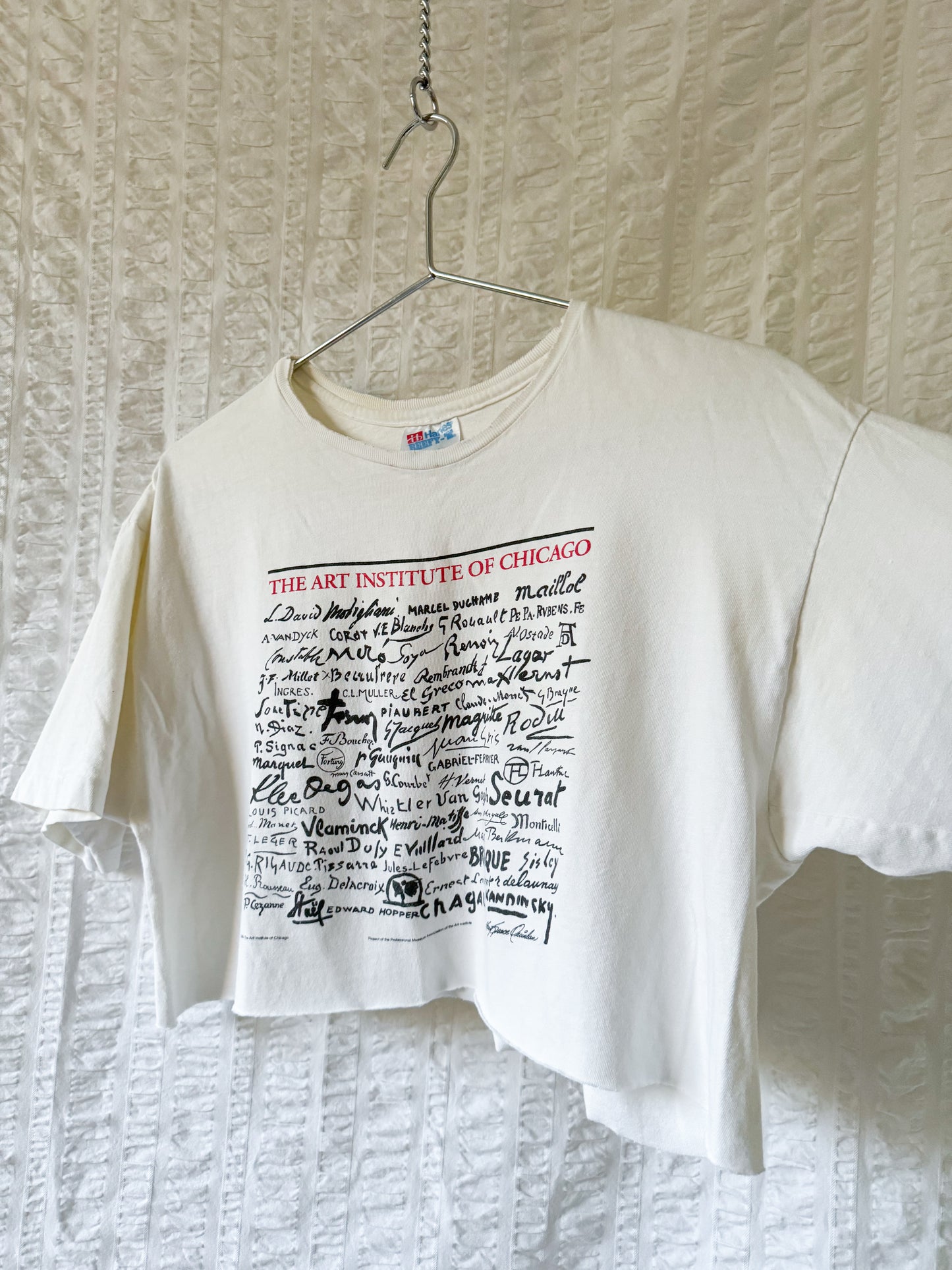 single stitch cropped art tee